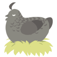 A ash and grey chicken with a half-lace pattern