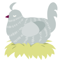 (unnamed), a silver chicken with a bar pattern