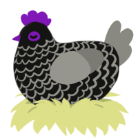 A black and ash chicken with a lace pattern