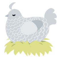 A mist chicken with a lace pattern