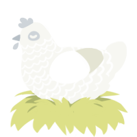 (unnamed), a white chicken with a lace pattern