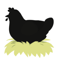 (unnamed), a black chicken