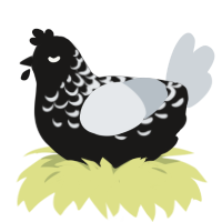 A sable and mist chicken with a half-lace pattern