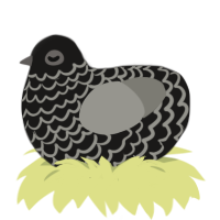 Maybe Marnie, a sable and ash chicken with a lace pattern