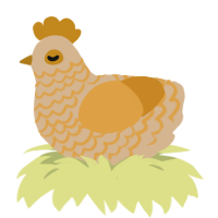 A beige and orange chicken with a lace pattern