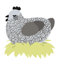 (unnamed), a mist and grey chicken with a double-lace pattern