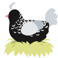 A sable and mist chicken with a half-lace pattern