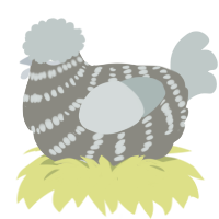 A ash and silver chicken with a bar pattern