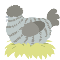 A silver and ash chicken with a bar pattern