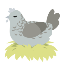 A silver and ash chicken with a half-lace pattern