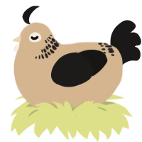 A beige and sable chicken with a neck-band pattern