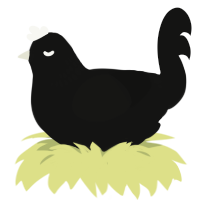 Cinder, a black chicken with a neck-band pattern