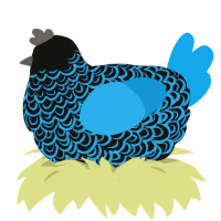 A black and sky chicken with a double-lace pattern