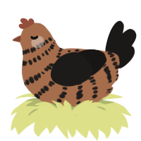 A brown and sable chicken with a bar pattern