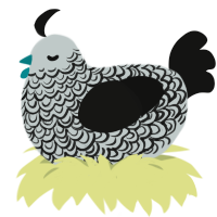 A silver and black chicken with a double-lace pattern