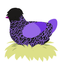 A sable and blurple chicken with a double-lace pattern