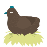 A bark chicken with a half-lace pattern