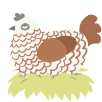 A white and brown chicken with a lace pattern