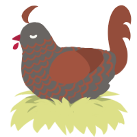 A grey and russet chicken with a lace pattern