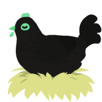 Batman, a sable and black chicken with a half-lace pattern