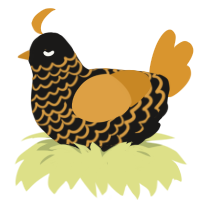 Touch, a sable and orange chicken with a lace pattern