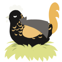 A sable and honey chicken with a half-lace pattern
