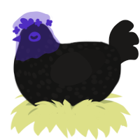 A black and sable chicken with a speckle pattern