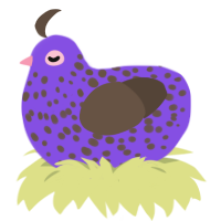 A blurple and bark chicken with a speckle pattern