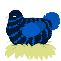 Seafloor, a tumblr and ultramarine chicken with a bar pattern
