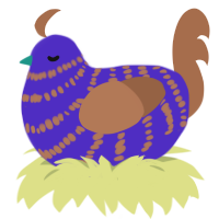A indigo and brown chicken with a bar pattern