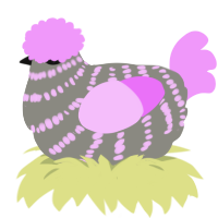 A ash and lavender chicken with a bar pattern
