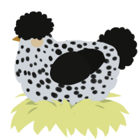 A mist and black chicken with a speckle pattern