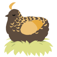 A bark and honey chicken with a half-lace pattern