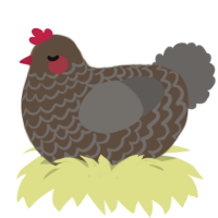 A bark and grey chicken with a lace pattern
