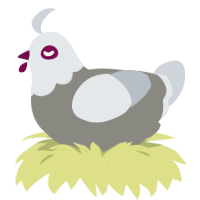 A ash and mist chicken with a head pattern