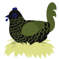 A black and olive chicken with a lace pattern