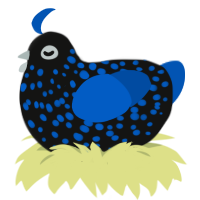Delphinus, a black and ultramarine chicken with a speckle pattern