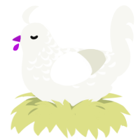 A white chicken with a half-lace pattern