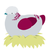 A mist and maroon chicken with a neck-band pattern