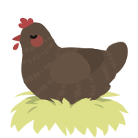 A bark chicken with a bar pattern