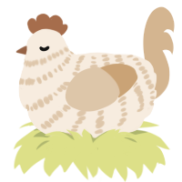 A cream and beige chicken with a bar pattern