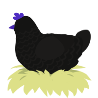 A black and sable chicken with a lace pattern