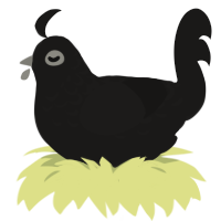 A sable chicken with a half-lace pattern