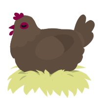 A bark chicken with a head pattern