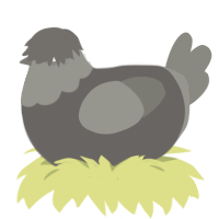 A grey and ash chicken with a head pattern