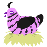 Its not a phase mom, a lavender and sable chicken with a bar pattern