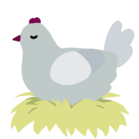 A silver and mist chicken