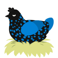 A black and sapphire chicken with a speckle pattern