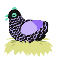 Orion, a black and lilac chicken with a lace pattern