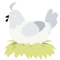 A white and mist chicken with a head pattern